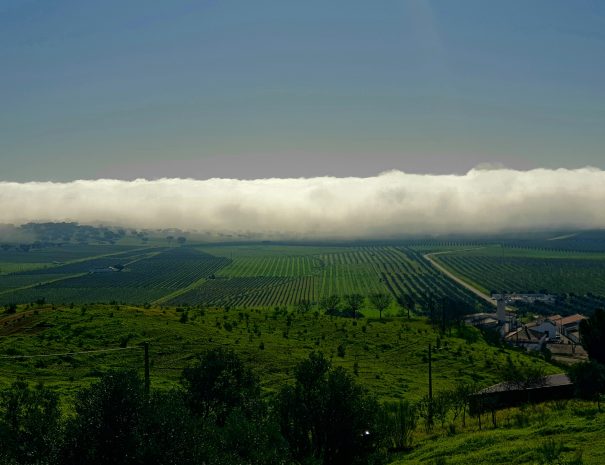 Casa Malli - testemunhos